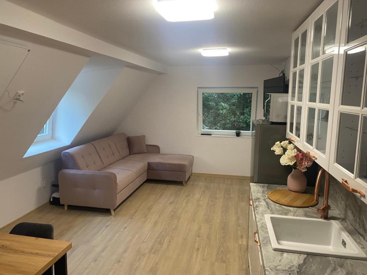 Mega Widok 2 Apartment Szklarska Poreba Luaran gambar